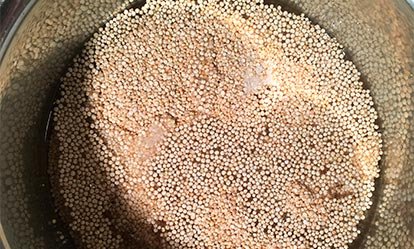 La quinoa - Ensalada de melocoton a la plancha
